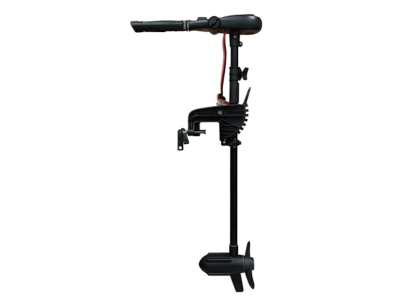 Silnik elektryczny HasWing Protruar 55 Genius 12V